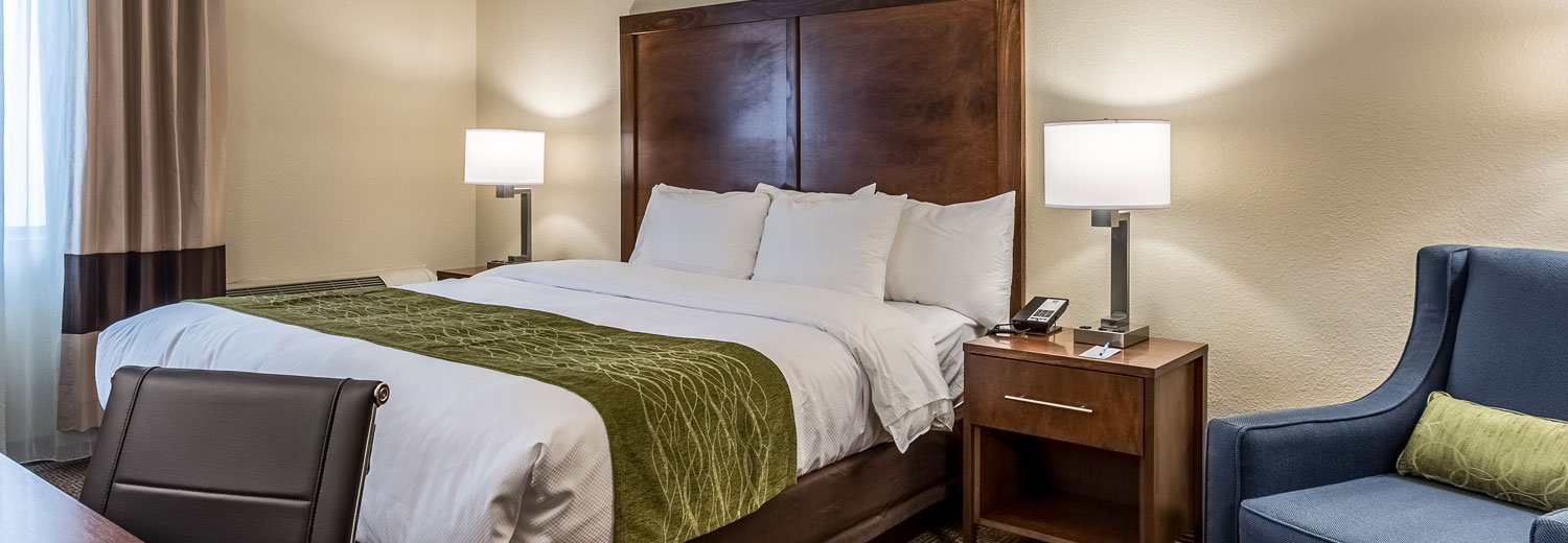 Comfort Inn & Suites Downtown Guest Rooms