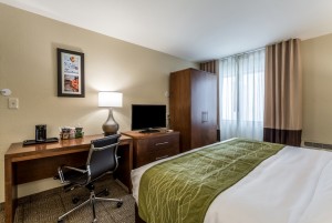 Comfort Inn & Suites Albuquerque - King Room