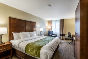 Comfort Inn & Suites Albuquerque - Clean King Rooms