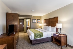 Comfort Inn & Suites Albuquerque - Comfortable King Beds