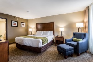 Comfort Inn & Suites Albuquerque - Sofa Chair In Our Guest Room