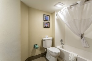 Comfort Inn & Suites Albuquerque - Guest Bathroom