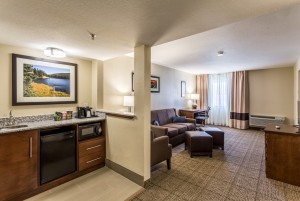 Suite with Living Room