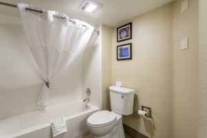 Comfort Inn & Suites Albuquerque - Guest Bathroom with Tub